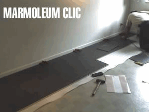 Marmoleum, un studio tout en couleurs